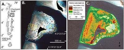 Reef Habitat Type and Spatial Extent as Interacting Controls on Platform-Scale Carbonate Budgets